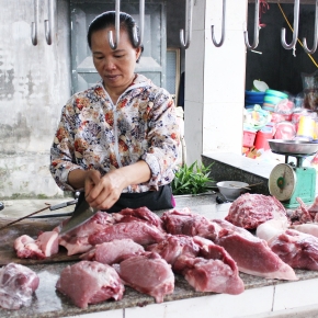 A deep dive inside Vietnam’s pork foodshed to determine food safety issues and their practical resolutions